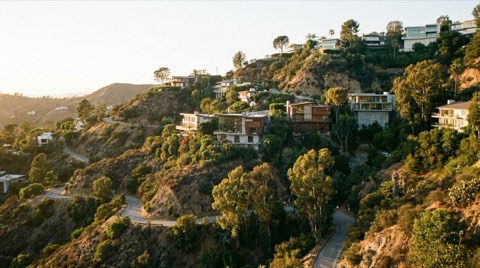 A steep, wooded Hollywood Hills hillside with modern homes perched among chaparral and eucalyptus trees at golden hour