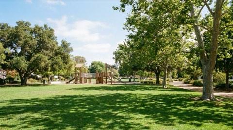 A sunny neighborhood park in Culver City with a playground and open lawn for families.