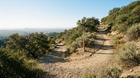 A dirt hiking trail winding through chaparral and oak trees on a Hollywood Hills slope in bright morning sunlight, with the city visible far below