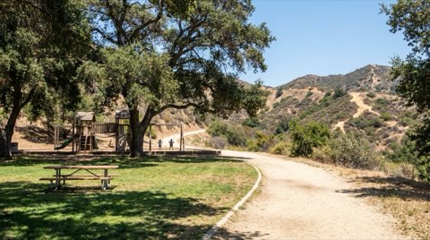 A sunny Griffith Park picnic lawn shaded by oak trees with a playground in the distance
