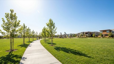 A neighborhood park with a wide green lawn, young trees along a paved walking path, and playground equipment visible in the distance under bright midday sun.