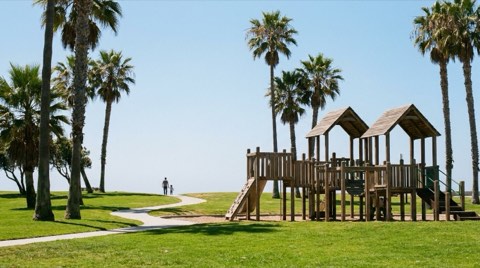 A sunny Venice neighborhood park with a wooden playground and palm trees