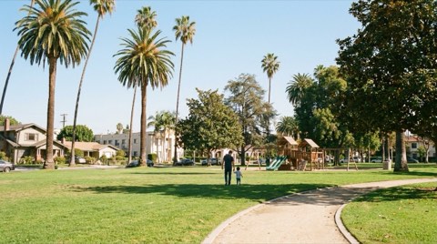 A sunny neighborhood park in Westwood with a wide green lawn, palm trees, and a winding path leading toward a distant playground