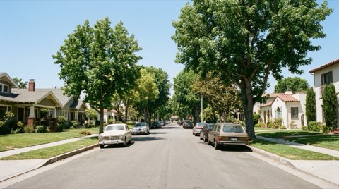 A quiet grid-pattern residential street in Beverlywood lined with traditional homes and mature trees at midday
