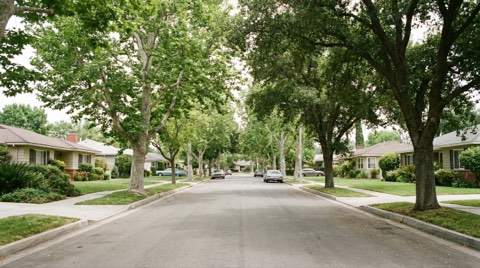 A quiet tree-lined residential street in Mar Vista lined with single-story ranch homes