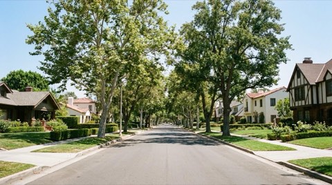 A tree-lined residential street with traditional single-family homes and manicured front lawns.