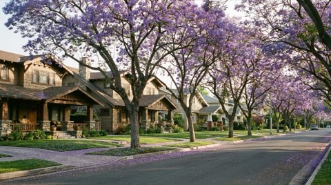 A Culver City residential street in spring bloom, representing the seasonal home-selling market.