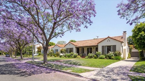 A Westwood residential street lined with blooming purple jacaranda trees in front of a well-maintained single-family home in spring