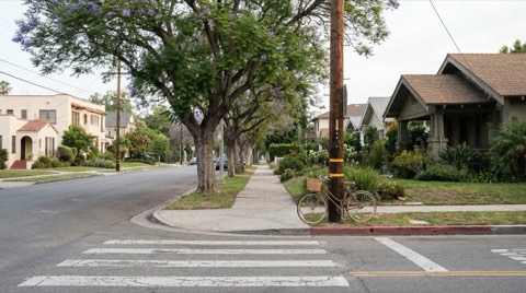 A tree-lined Beverlywood sidewalk with a crosswalk and a bicycle leaning against a pole in morning light