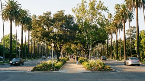 A wide Westside Los Angeles boulevard with a landscaped tree-lined median walking path