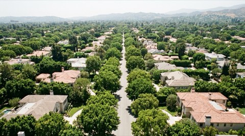 An elevated view of tree-lined residential streets in a grid pattern with lush tree canopy