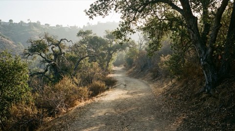 A shaded dirt hiking trail winding through a canyon lined with oak trees