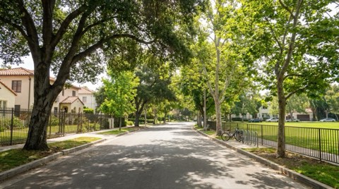 A quiet tree-lined residential street near a school, with a low fence bordering a green schoolyard lawn