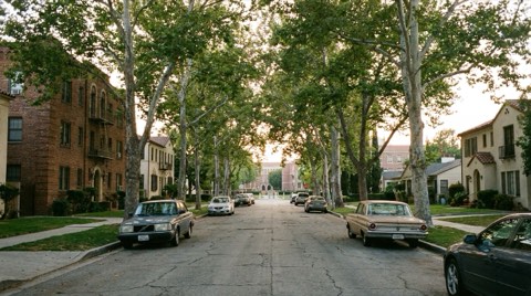 A tree-lined street near a university campus with a mix of older apartment buildings and homes