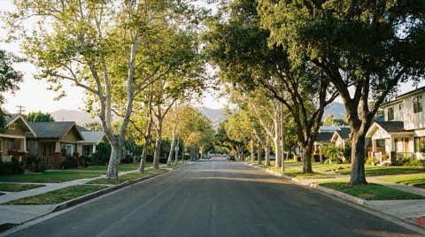 A tree-lined Culver City residential street with the hills in the background.