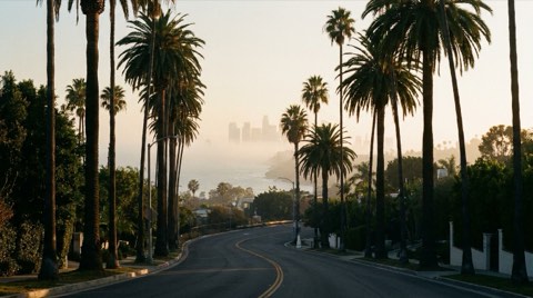 A palm-lined road leading downhill toward a distant glimpse of the Pacific Ocean