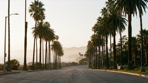 A palm-lined boulevard stretching toward a hazy coastal horizon near Mar Vista