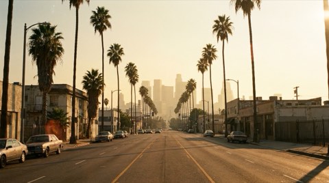 A wide street view down a palm-tree-lined boulevard toward a hazy distant downtown Los Angeles skyline in late-afternoon light