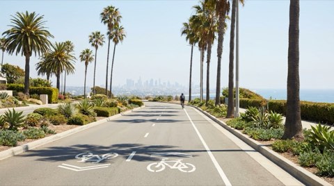 A palm-tree-lined bike path in bright midday sun with a hazy, distant city skyline visible far in the background.
