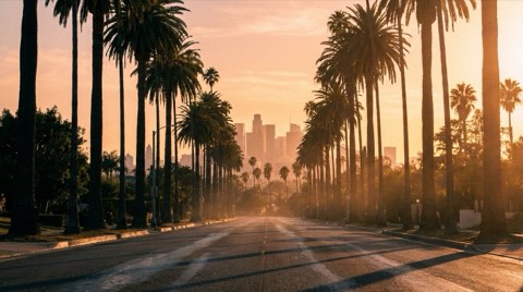 A palm-lined boulevard at golden hour receding toward a hazy Los Angeles skyline in the distance, evoking the drive from Westwood toward the beach and downtown
