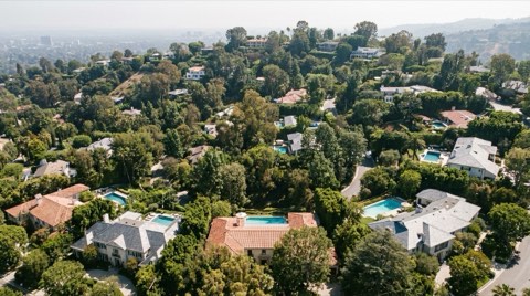 An aerial-style view of Bel Air rooftops peeking through dense mature greenery on a hillside