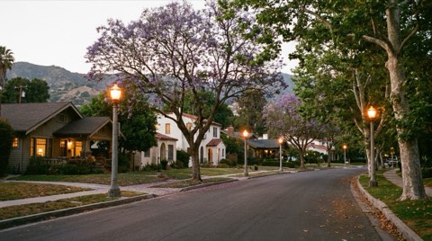 A warm residential street at dusk with softly lit home windows visible through mature trees