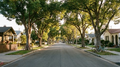 A tree-lined Culver City neighborhood street reflecting community living.