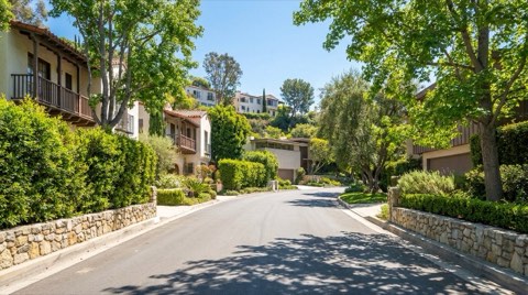 A quiet, tree-lined Hollywood Hills residential street at midday with well-kept homes set back behind low walls and greenery