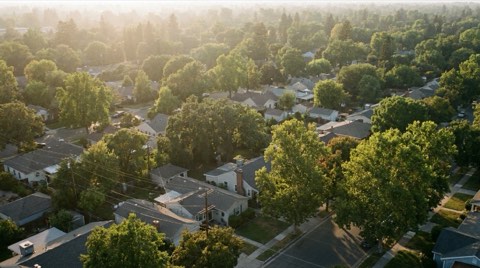 An elevated view over rooftops and tree canopy in a Mar Vista residential neighborhood