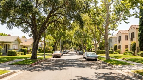 A quiet, tidy tree-lined residential street with well-kept homes under bright clean daylight