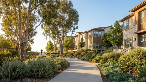 A landscaped walking path winding through greenery with modern buildings in the background under bright morning light.