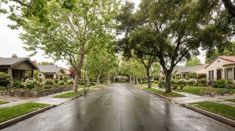 A quiet, tree-lined residential street in Santa Monica with well-kept single-family homes under soft overcast daylight