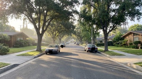 A quiet tree-lined residential street in Studio City in soft early morning light