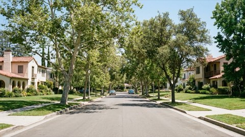 A quiet, tree-lined residential street in Westwood in bright daylight with neat sidewalks, well-kept lawns, and mature shade trees forming a canopy overhead