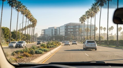 A palm-tree-lined boulevard with light traffic and a contemporary glass office campus building visible in the distance, bright daylight.