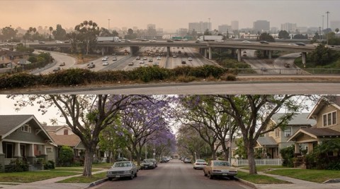 A quiet tree-lined residential street giving way to a distant hazy freeway interchange.