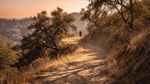 A winding Griffith Park hiking trail through oak-covered hills near Los Feliz at late afternoon