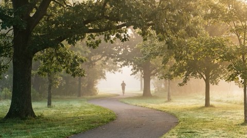 A tree-lined park path with a distant jogger silhouette in Mar Vista
