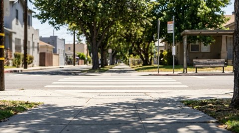A clean sidewalk streetscape with a marked pedestrian crosswalk, street trees, and a distant bus stop bench