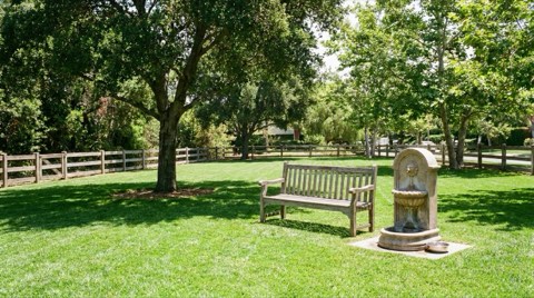 A green park lawn with a wooden bench and water fountain shaded by mature trees