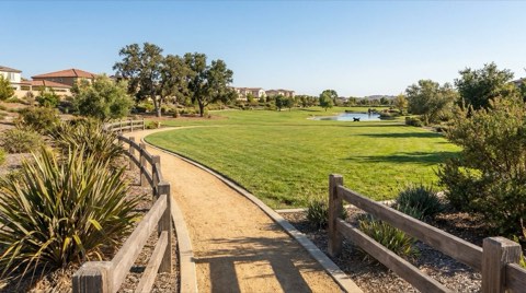 An open grassy green space with a fenced path and mature landscaping, a dog silhouette visible in the distance under bright daylight.