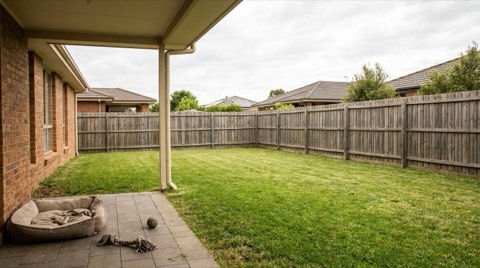 A fenced backyard lawn with a dog bed and toys near a covered patio.