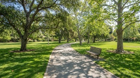 A shaded park path in Westwood lined with mature trees and a wooden bench, bright daytime light with dappled shade across the lawn
