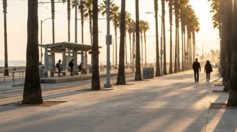 A palm-lined Santa Monica sidewalk at golden hour with a light rail platform in the background