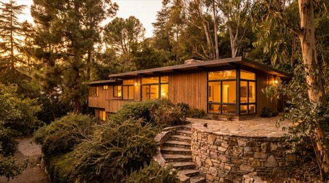 A classic mid-century hillside home with wood paneling and original picture windows, surrounded by mature overgrown landscaping in warm afternoon light