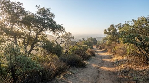 A hiking trailhead in the hills above Studio City with a dirt trail through chaparral at soft morning light
