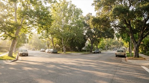 A quiet residential intersection with clear street lanes and mature shade trees in early morning light.