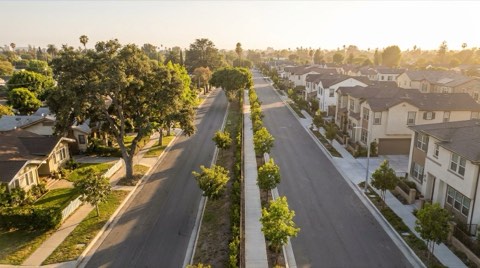 A residential street where established homes and mature trees give way to a subtly different neighboring block.