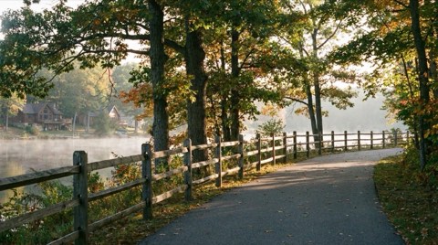 A paved walking trail lined with mature trees running alongside a fence with the lake glimpsed beyond.