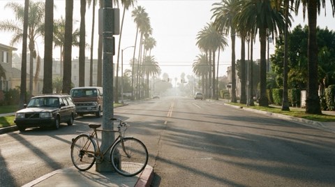 A quiet palm-lined Venice road leading toward a distant intersection in morning light